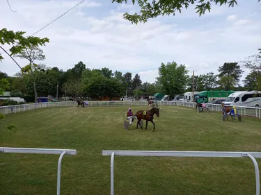 Hippisme : nos préférés pour ce samedi 17 décembre